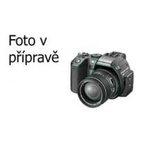 Nabíječka baterií pro PANASONIC DMW-BCM13, DMW-BCM13E
