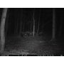 Fotopast ForestCam LS880 Gen2 CZ verze + 8GB pam. karta
